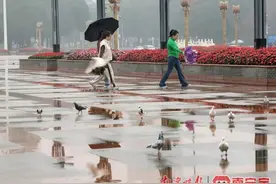 暖热初夏→速冷早春，南宁气温又跳水！图片