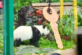 请到广东过暑假！百家媒体探营长隆，暑期文旅体验再升级图片