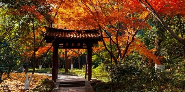 每日发车！69元当天往返！去这里玩更方便了→