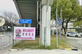 上海樱花节开幕，顾村公园樱花节定制公交班线今起开行图片