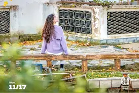 上新！黄陂这里的银杏黄了、枫叶红了图片