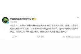 官方回应福宝发抖图片