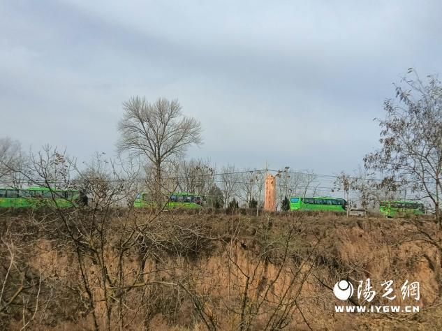 免费采摘引客来！咸阳彬州罗店村柿子红透啦