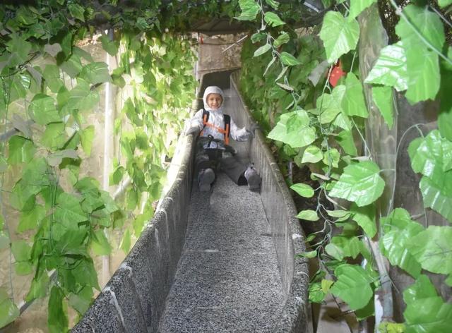 山洪褪去，澄澈归来，天子山景区已开园，快来这里进行一次心灵与自然的洗礼吧！