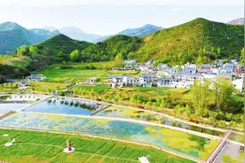 凝心聚力促发展 秦风楚韵铺画卷——二〇二四年山阳县经济社会发展综述图片
