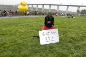 明星导盲犬珍妮去世 服役期间与盲人陈燕推动导盲犬走进公共场所图片