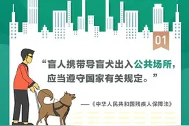 国际导盲犬日丨一图读懂导盲犬相关法律法规政策图片