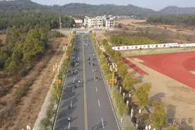 迷你马拉松  跑进幸福年图片