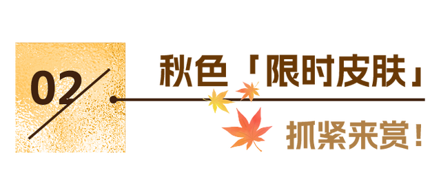 东湖冬日必打卡！观「雪」景、赏秋色、追落日！