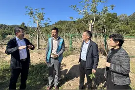 厦门南洋职业学院“一站一师一方案”特色服务乡村振兴模式走进同安区三秀山村图片