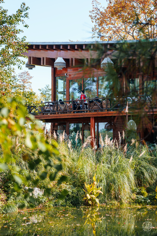 降温了，躲进东湖暖咖，独享封神秋景！