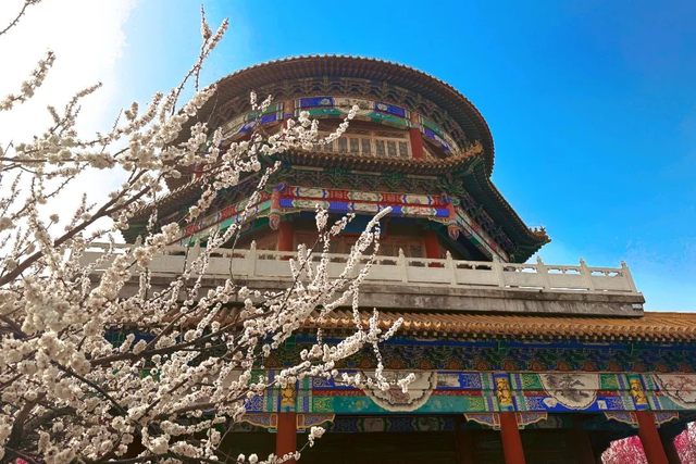 日照放大招！演唱会、音乐节！持票根，让你玩得省+玩得好！