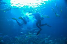 “每月都有人耳膜穿孔”，潜水“水深”如何解？图片