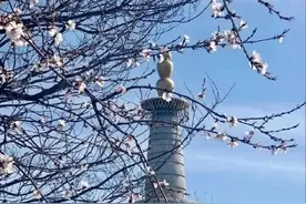 惠济祠、回香阁、玉皇顶均开放，妙峰山景区4月起恢复迎客图片