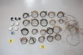 手段残忍！为吃野味，他们竟用高压电和猎犬抓野生动物，27人被抓图片