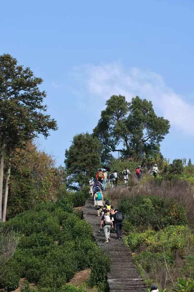 晚潮｜文昌古道秋意渐浓