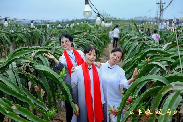 「果」然精彩！本周继续嗨玩，错过再等一年