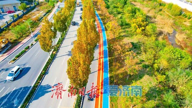 一年四季 泉在济南丨兴仲路林荫绿道初冬绘彩卷