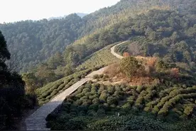 115条！浙江省一级古道，一起去打卡吧~图片
