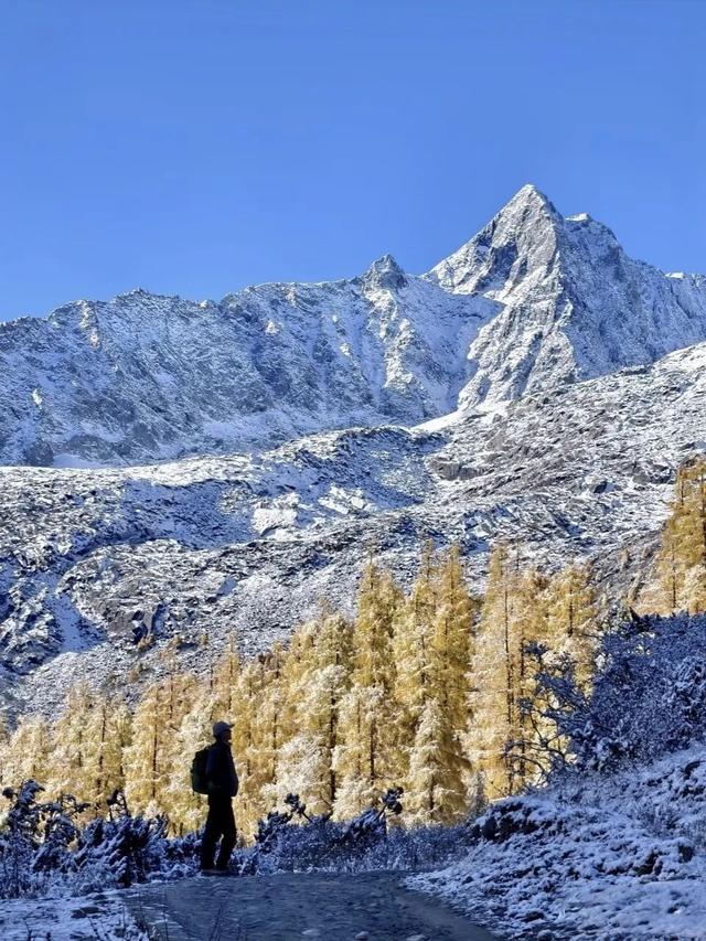 今日多地下雪！冰雪世界的川西正式上线