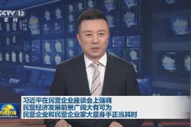 爱拼就会赢！民营企业大显身手正当其时图片