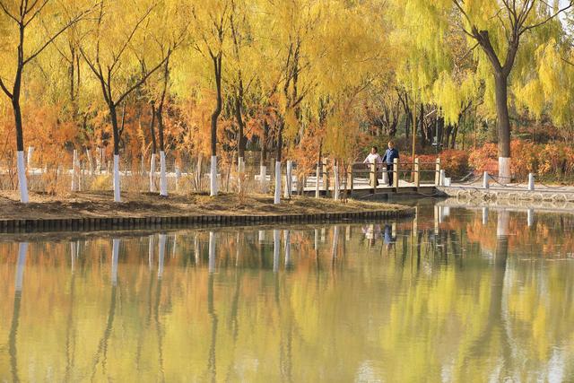 诗意中国｜碧涧流红叶 青林点白云