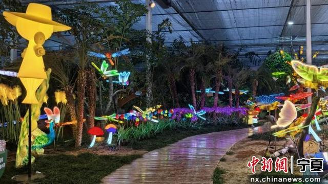 宁夏农垦冬季“文旅盛宴”12月启幕 邀游客共赴冬日之约