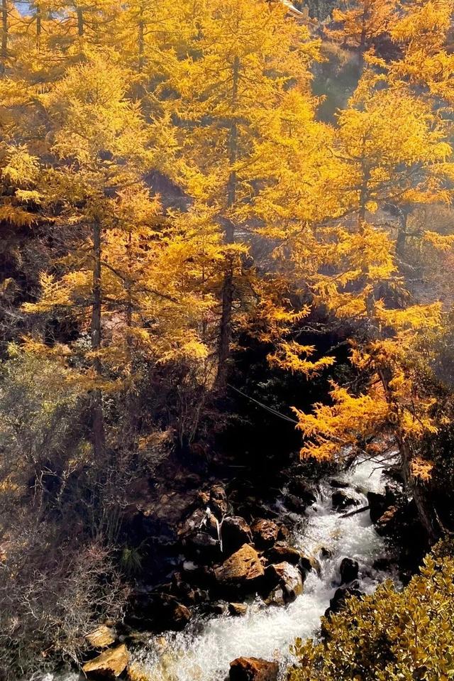 广元⇄甘孜 梦幻联动！七折游两地A级景区！