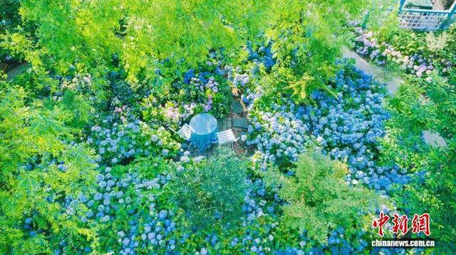 浙江丽水“侨味”花园民宿迎八方客