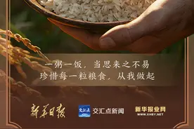 AI绘图｜今天，世界粮食日！一粥一饭，当思来之不易图片