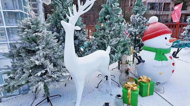 在嵩县找到了现实版「冰雪奇缘」！美到失语的白云山冬日