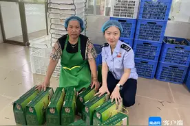 文昌税务：端午粽飘香 税惠更贴心图片