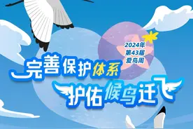 完善保护体系，护佑候鸟迁飞丨第43个爱鸟周图片