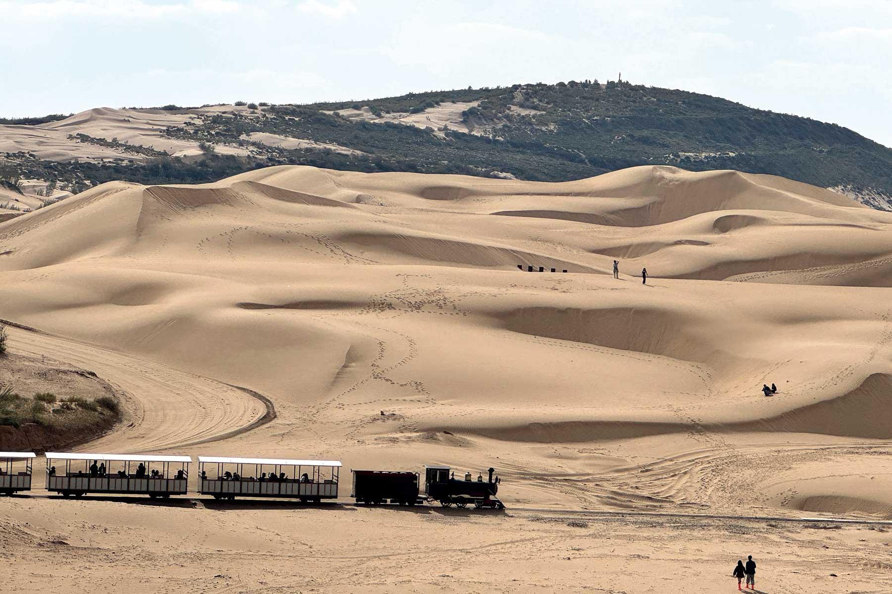 塞北秋行:森林詠嘆調與沙漠狂想曲-圖1