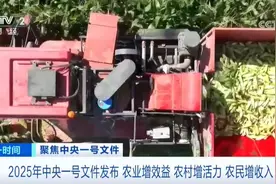 2025年中央一号文件中有哪些农村改革亮点？专家解读→图片