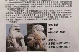 悬赏百万！被盗超14年，一地再发“寻狮”通告图片