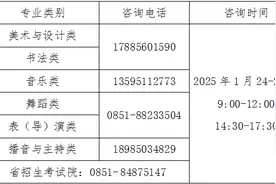 2025年普通高校招生艺术类专业省级统考成绩可查图片