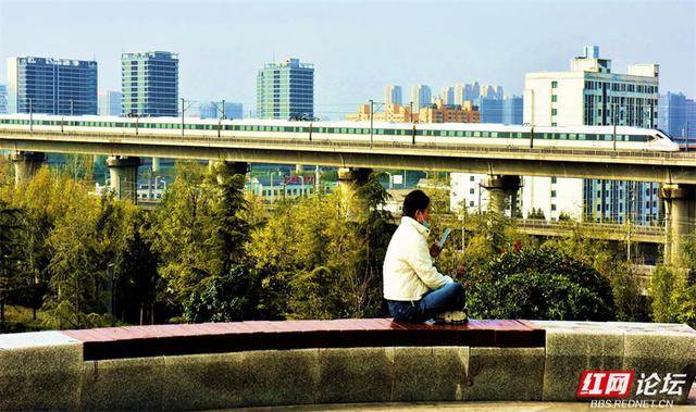 秋游时刻丨一条线路，三种景致：我拍下了郑州最诗意的秋天