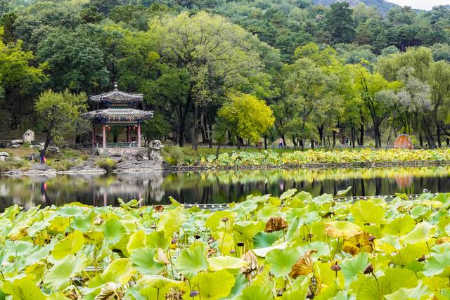 河北承德：避暑山庄秋景如画醉游人