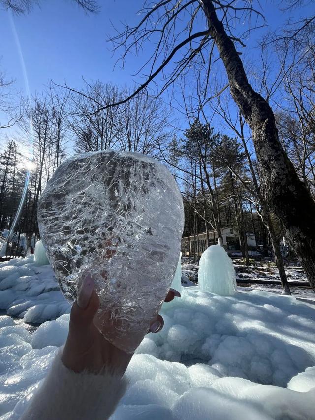 免费申领！白云山冰雪仙境邀您花式玩儿雪！