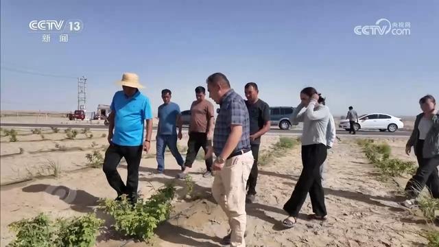 焦点访谈｜新疆突破想象的蜕变，藏着中国西部腾飞密码