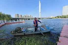 山东滕州：清理杂草 扮靓环境图片