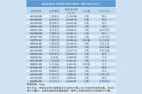 A股市值十强座次洗牌：贵州茅台、宁德时代入列，昔日市值龙头股掉队图片