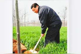 跟总书记一起厚植精神之“树”图片