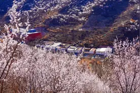 绝美！徒步北京隐藏版“桃花海”图片