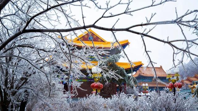 霜染山林，美到心醉！来六鼎山感受深秋的魅力