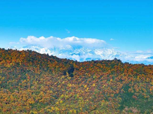 来瓦屋山沉浸式徒步！与漫山秋色撞个满怀！