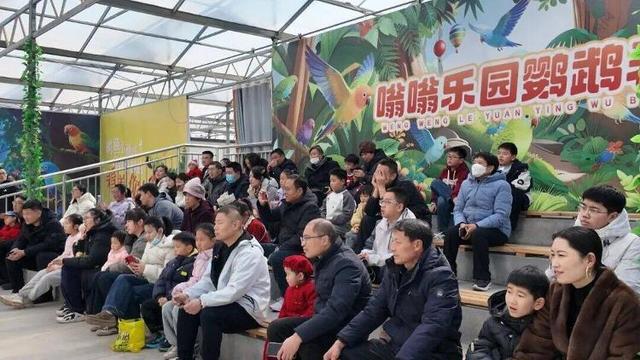 这座古城！五天内，迎客破百万！