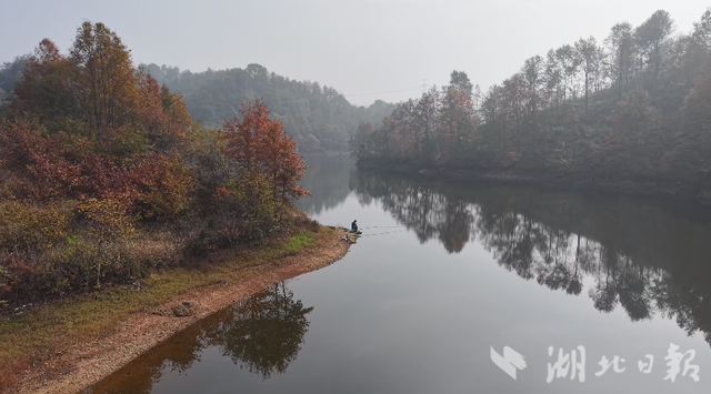 大悟：红叶映山秋意浓   层林尽染引客来