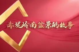 百年传承！走进花都赤坭盆景的“诗意世界”图片